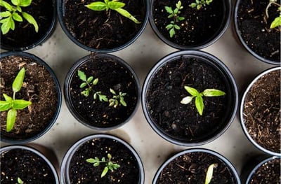 What are the advantages and disadvantages of yield management in hotels? thumbnail